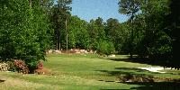 golf article
