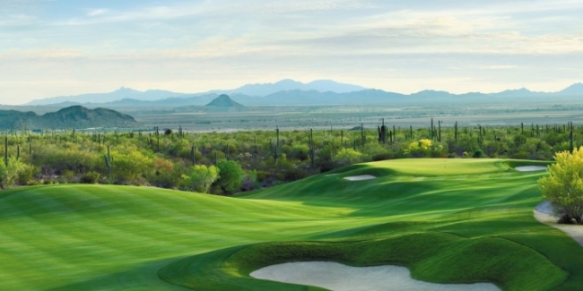 The Gallery