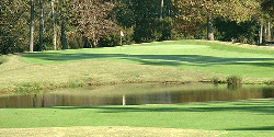 Bayonet at Puppy Creek