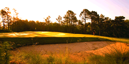 Featured North Carolina Golf Course