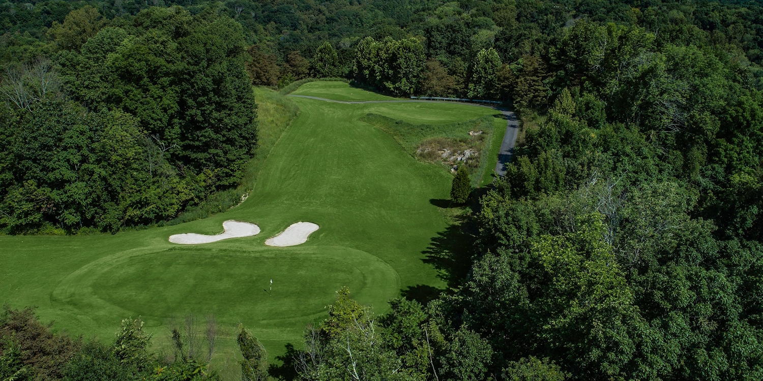 Cattails at MeadowView Golf Course