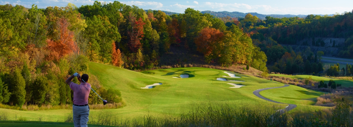 Cattails at MeadowView Golf Course