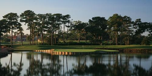 Let's Go Golf Trips